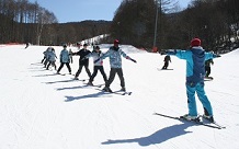 国际交流滑雪之旅